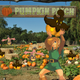 Illustration for article titled 'Shop Contest: It's Pumpkin Season, Winners!